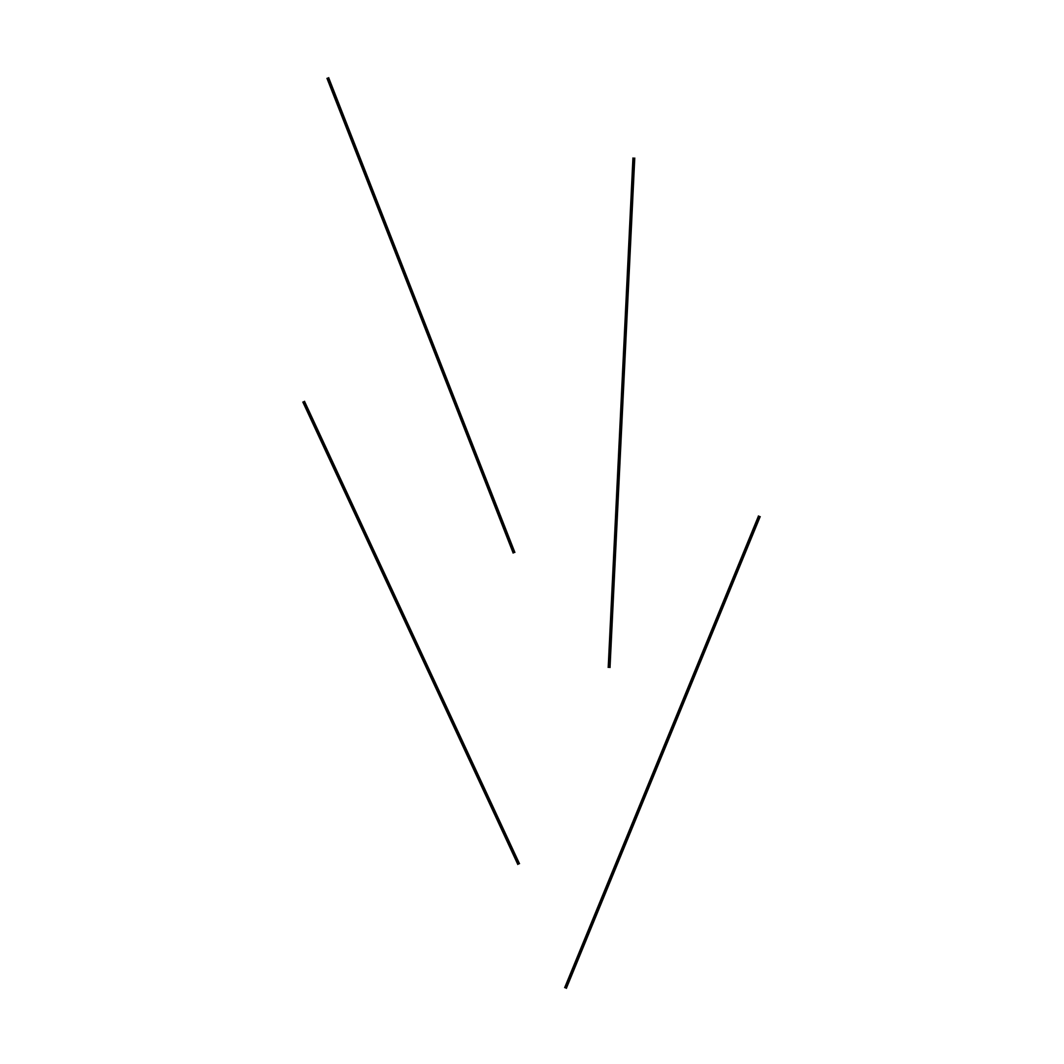 delico-elza-chama-gif-foto