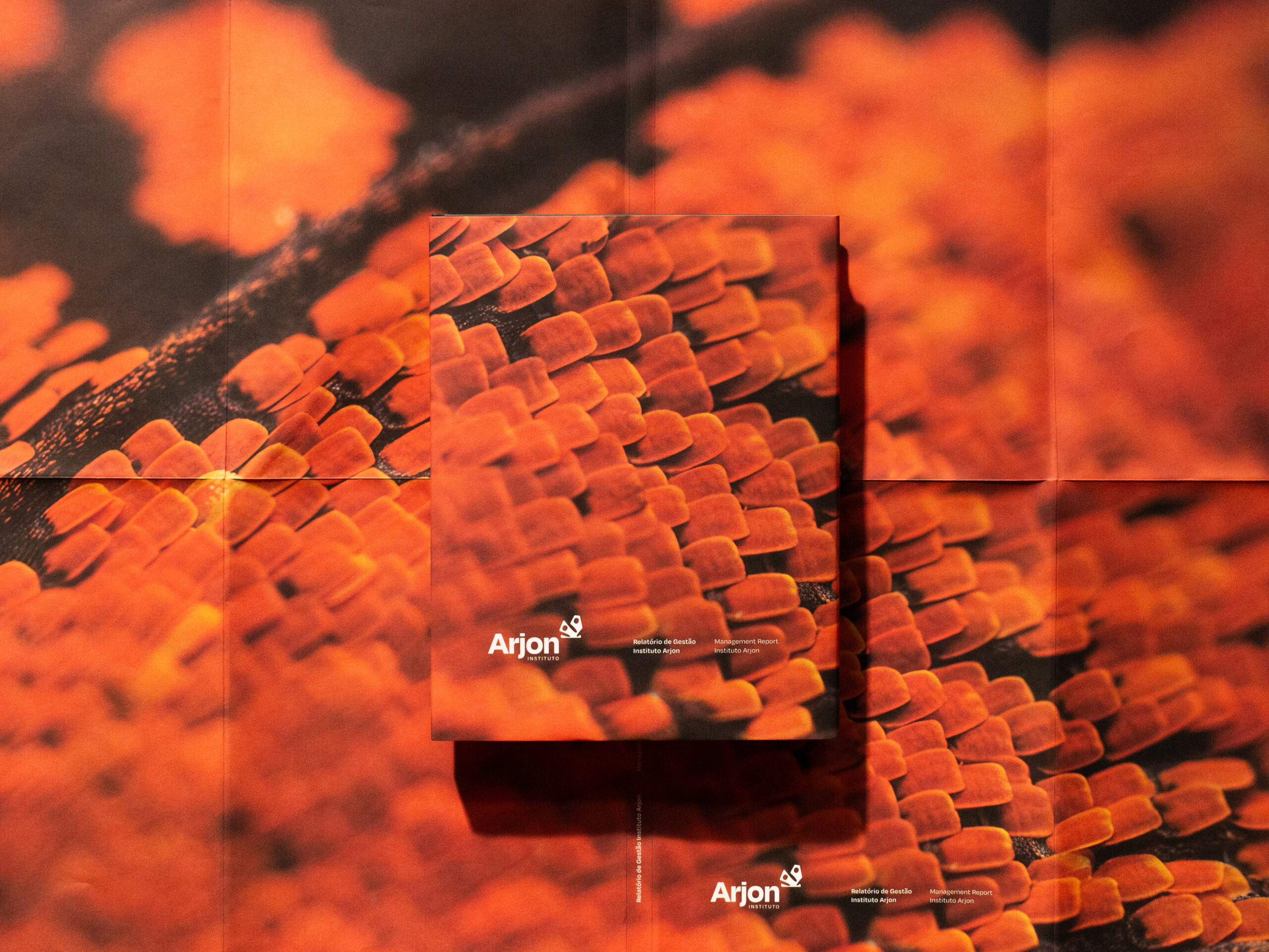 ARJON_relatorio_01