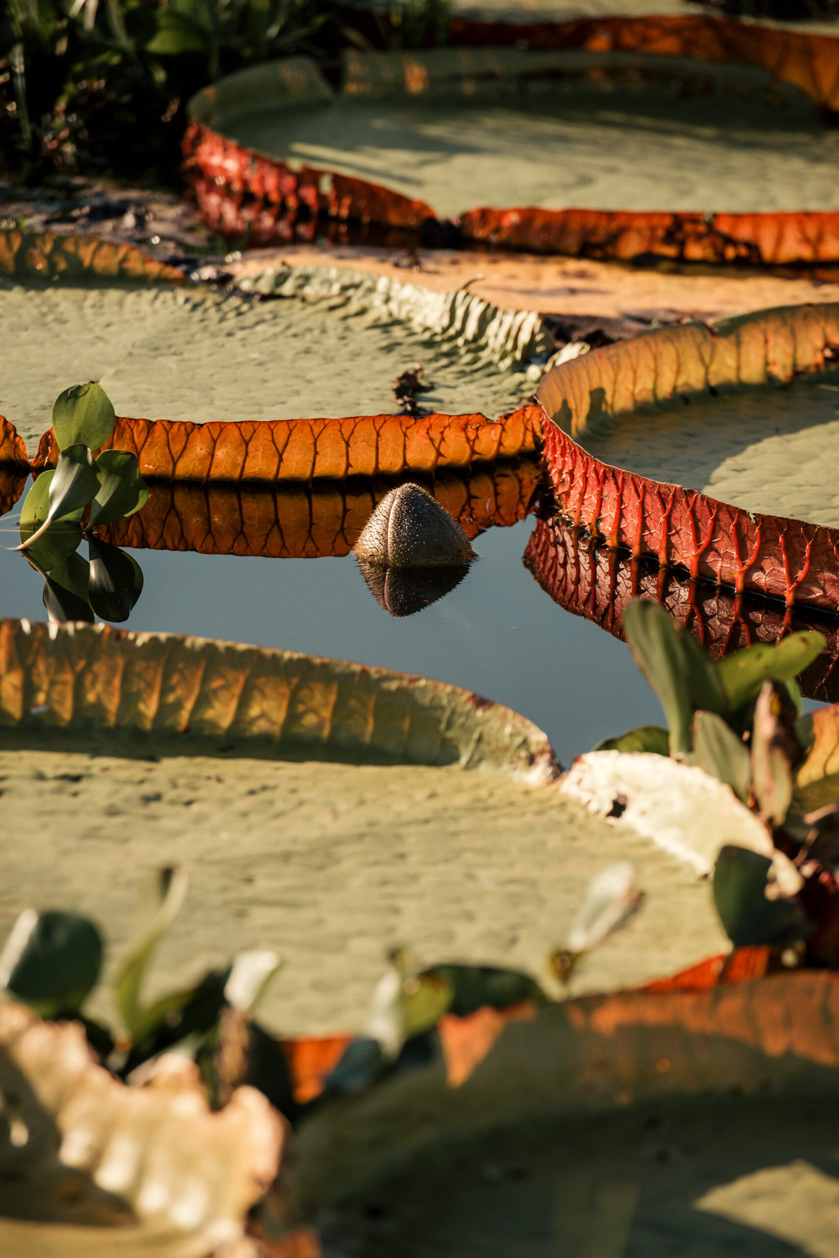 f16d4e87-9430-4dc3-8040-1416b1cdd069_rw_3840