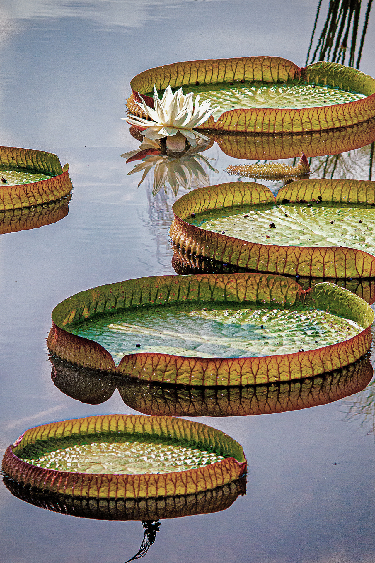 robert-thiemann-W8j-DRmmwV8-unsplash_C